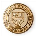 Picture of Gold Plate 1CSU San Marcos BSN Pin